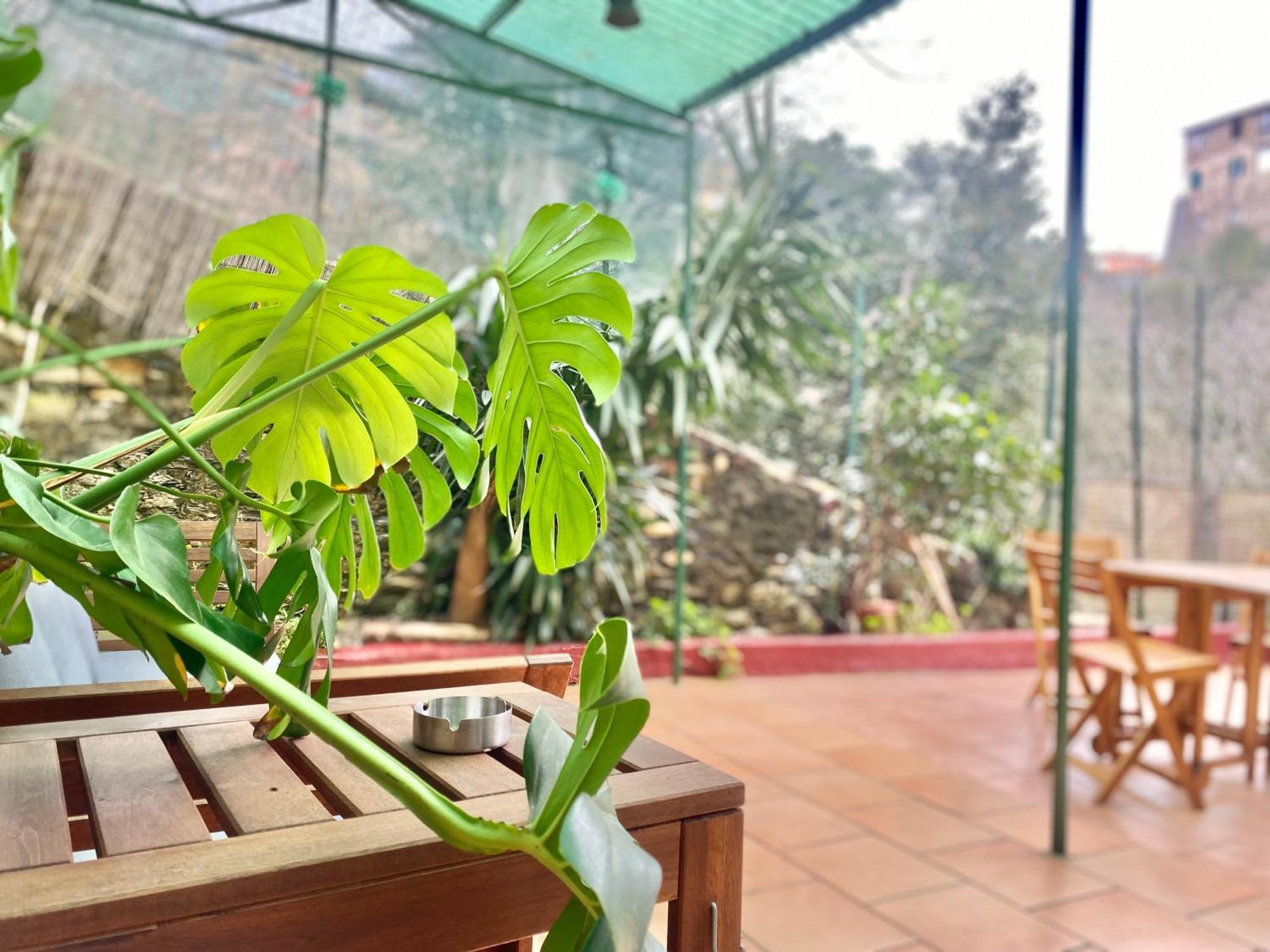 Casaviva - Bilo With Patio In Genova San Teodoro Lägenhet Exteriör bild